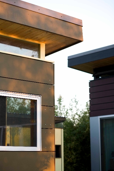 Modern-Shed Dwelling Shed